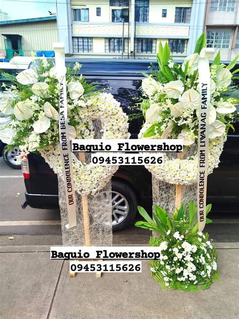bmc funeral baguio|Insects .